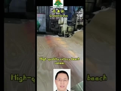 Döner kesilmiş ağaç yaprağı