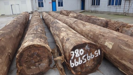 Laminasyonlu Santos Rosewood Ahşap Finer Taç Tanesi Kalınlığı Kişiselleştirilebilir 0.15-1.8mm Kabine Yüzü için