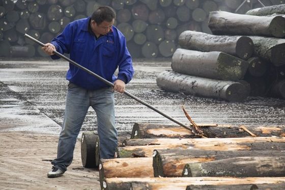 Sanatsal Ahşap Finer Santos Rosewood İnsan Yapımı Finer Yaprak 2050-3200mm Müzik Enstrümanı için Çin Fabrikası