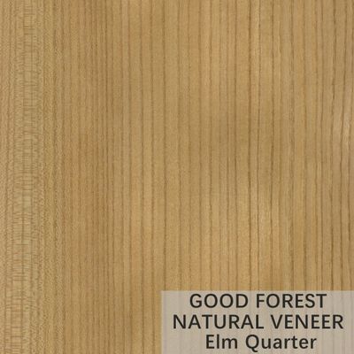 ELM Doğal Ahşap Kaplama Crown Cut Grain Özelleştirilmiş Hizmet Sunar