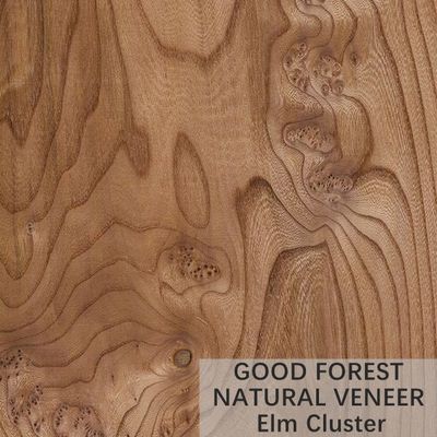 ELM Doğal Ahşap Kaplama Crown Cut Grain Özelleştirilmiş Hizmet Sunar