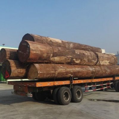 Sulandırılmış Dekoratif Doğal Dişbudak Ahşap Kaplama WA-X806 Fineline Tahıl El Sanatları