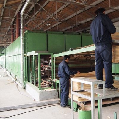 Beyaz Kayısı Tasarlanmış Ahşap Kaplama H86C Duvar Kaplaması İçin Dilim Kesim Teknikleri