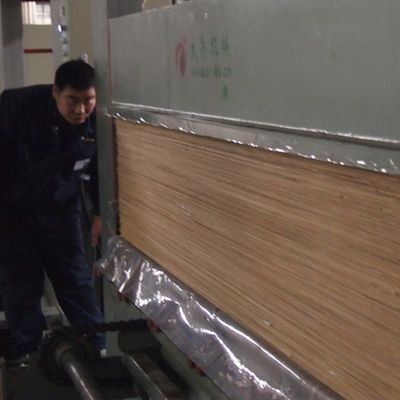 Mobilya Yapay Ahşap Kaplama Taç Tahıl Beyaz Kayısı H06C 0.15-0.6mm Polar Geri