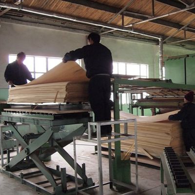 Dilim Kesim Teknikleri İnsan Yapımı Ahşap Kaplama Beyaz Meşe Çeyrek Kesim H265S