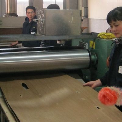 Yeniden Birleştirilmiş Beyaz Kül Ahşap Kaplama Levhaları Wa-X206 Fantezi Kontrplak İçin Çeyrek Kesim