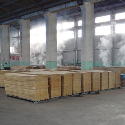 Yeniden Kompozisyonlu Finer - 3D Mühendislik Finer, Düşük Formaldehit ve Nem Kanıtlı 3DZM-L6.1