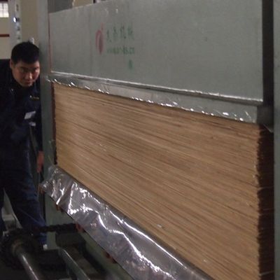 Çerez doku 2200mm mühendislik meşe kaplama İç mekan dekoratif tahta için