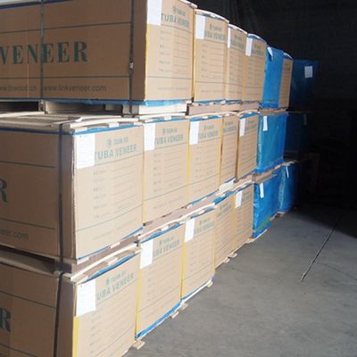 Kabin Fantezi Yeniden Oluşturulmuş Kayrak Ahşap Kaplama Ceviz X937 Fineline Tahıl Uzatılmış Boyut 3100mm Çin Üretici Iso