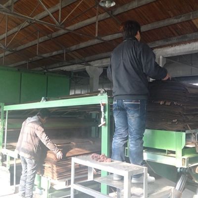 Otel dekorasyonu için Quandong kalınlığı 0.18-0.6mm'lik süslü mühendislik ahşap kaplama özelleştirilebilir