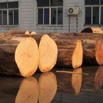 Özel Recon Elm Wood Veneer düz kesim ve 2500 * 640 mm dolap yüzü için taç kesim