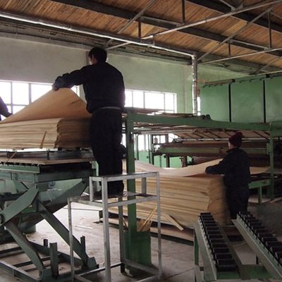 Özel olarak tasarlanmış ahşap kaplama siyah ve beyaz kök 3N Dekorasyon için 3100mm