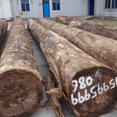 Yüksek Kaliteli Mühendislik Ahşap Finer Avrupa Ceviz E.WT-X7288N dilim kesim teknikleri Kapı yüzü için düz Çin Üretici