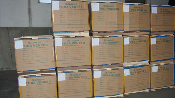 Mühendislik Fındık Ahşap Finer Gümüş Renk Düz Düz Düz Düz Çizgi Taneler Kapı ve Dolap Yüzü WT-H5336