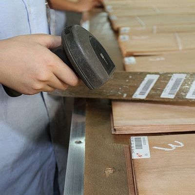 FSC Doğal Beyaz Kül Burl Kaplama Spiral Desen Tahıl A Sınıfı Otel Dekorasyonu için kalınlık 0.5-0.55mm