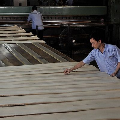 Amerikan Beyaz Meşe Katı Ahşap Yaprak Düz Düz Düz Panel ve Boyalı Finer 0.45mm Kalınlığı