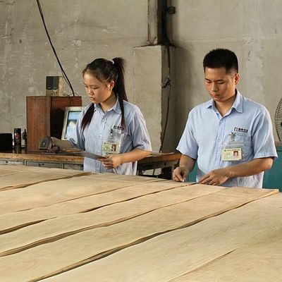 Amerikan Doğal Akçaağaç Ahşap Kaplama Birdseye Akçaağaç Kalınlığı 0.5mm Mobilya Ve Müzik Aleti Için Kaliteli