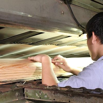 Uzaya zariflik katmak Maple Veneer Paneller Flakülent Gölgeler doku belirtileri