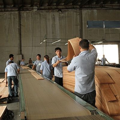Uzaya zariflik katmak Maple Veneer Paneller Flakülent Gölgeler doku belirtileri