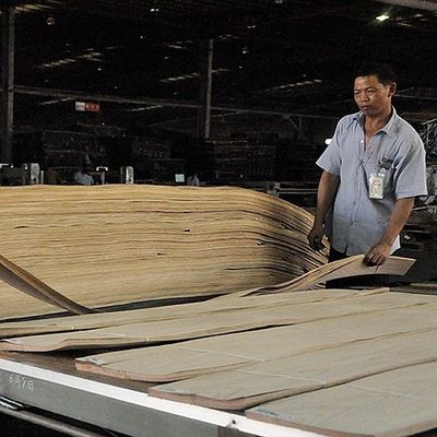 Amerikan Beyaz Meşe Katı Ahşap Yaprak Düz Düz Düz Panel ve Boyalı Finer 0.45mm Kalınlığı