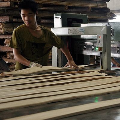 Altın Ağacı Halkası Yapay Ahşap Fineri Kabine Yüzü için G.TR-X3388 dilim kesim 0.30mm