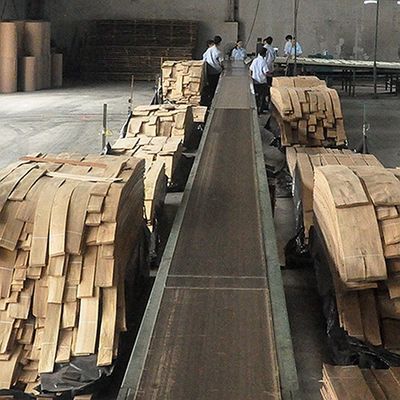 Katı ahşap Amerikan Elm Yaprakları Çeyreği Kesilmiş Taç Tanesi Doğal Renk Kapı Yüzü 3200mm Yukarı
