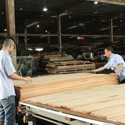Katı ahşap Amerikan Elm Yaprakları Çeyreği Kesilmiş Taç Tanesi Doğal Renk Kapı Yüzü 3200mm Yukarı