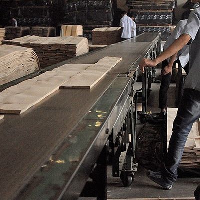 FSC Doğal Beyaz Kül Burl Kaplama Spiral Desen Tahıl A Sınıfı Otel Dekorasyonu için kalınlık 0.5-0.55mm