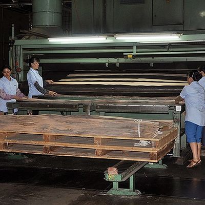 Amerikan Doğal Akçaağaç Ahşap Kaplama Birdseye Akçaağaç Kalınlığı 0.5mm Mobilya Ve Müzik Aleti Için Kaliteli