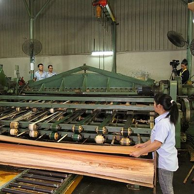 Avrupa Doğal Kavak Ahşap Kaplama Mapa Burl Tahıl Yüksek Kaliteli Kalınlık 0.5mm Müzik Aleti Için