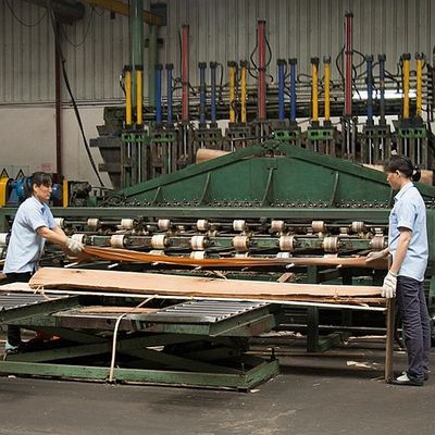 Doğal Kül Ahşabı Finer Kabine Yüzü için Düz Kesilmiş Taç Tanesi