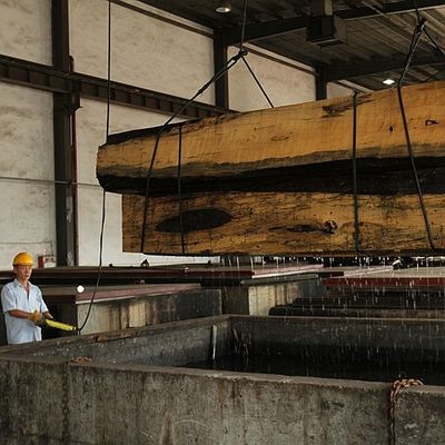 Doğal Kül Ahşabı Finer Kabine Yüzü için Düz Kesilmiş Taç Tanesi