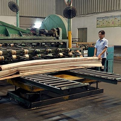 Afrika Doğal Koto Ahşap Kaplama Çeyrek Kesim Düz Tahıl Boyama Süreci İçin Kaliteli Özelleştirilebilir