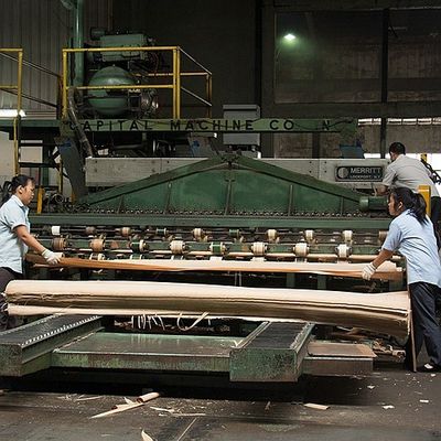 Avrupa Doğal Figürlü Çınar Ahşap Kaplama Düz Kesim Taç Kesim Kalınlığı 0.5mm Boyama ve Dolap İçin