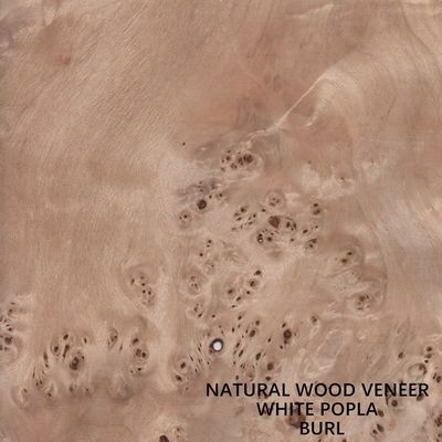 Avrupa Doğal Kavak Ahşap Kaplama Mapa Burl Tahıl Yüksek Kaliteli Kalınlık 0.5mm Müzik Aleti Için