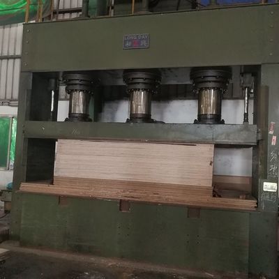 Fantezi Bicolor Lale Kontrplak Esaslı MDF / Sunta / Mobilya Paneli İçin Yonga Levha