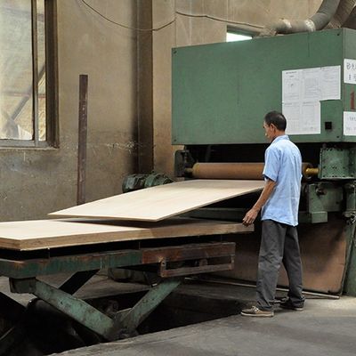 Fancy Hickory Bicolor Crown Tahıl Bazlı MDF / Sunta Kaplama Panelleri 2440x1220mm