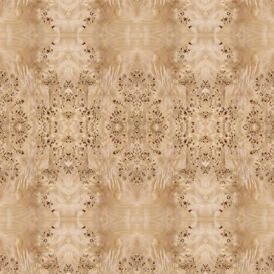 Fantezi Panel Yüzlü Doğal Beyaz Kavak Burl Ahşap Kaplama Otel Dekorasyonu İçin 2440/2745mm Uzatılmış Boyut Çin Tedarik
