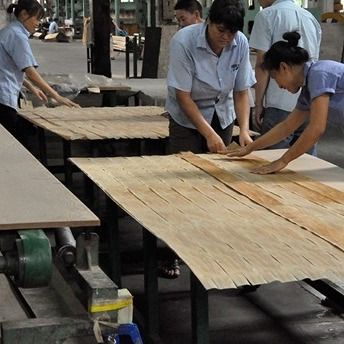 Döşeme Yapısı Çift Renkli Mühendislik Ahşap Finer 2850mm Kalınlığı Özel