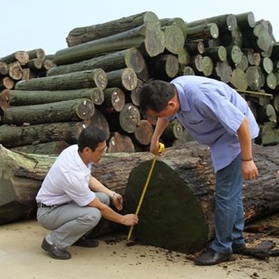 Yapay Sedir Ahşabı Finerinin Yeni Tasarımı FCW-L146N/L246C Diş Kesme Teknikleri 2*8 Inch For Cabinet Face