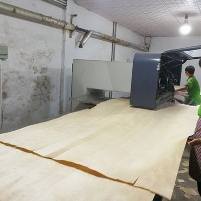 Yüksek kaliteli Recon Wood Veneer Doğal Ceviz Wt-X873n 2850mm Uzunluk Kapı Dekorasyon Yaprakları Çin Fabrikası