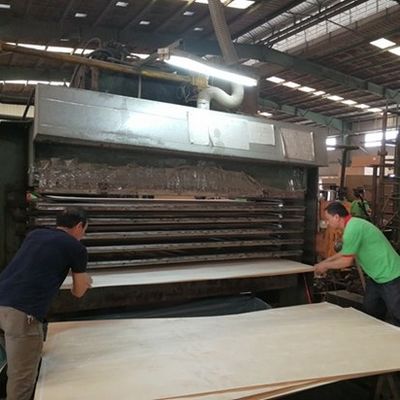 Yüksek Kalite Mühendislik Ahşap Finer Gümüş Ok SI.AW-X8023 Otel Dekorasyonu için Üç Boyutlu Taneler Çin Fabrikası