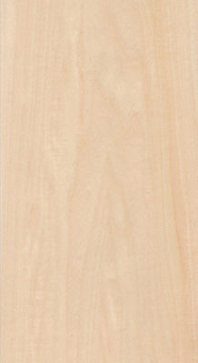 Gerçek Ahşap Fener Basswood dilimleri Boyut 13cm Yukarı düz kesim düz Kabine yüz sayfası