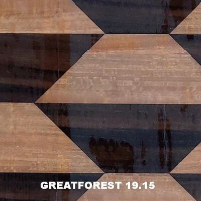 Sanatsal Parket Ahşap Finer Geometrik Estetik Duygu Popüler Geometrik Şekiller Ahşap Kapı için 0.50mm Kalınlığı