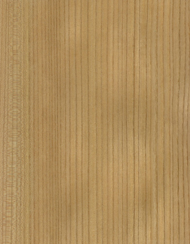 Katı ahşap Amerikan Elm Yaprakları Çeyreği Kesilmiş Taç Tanesi Doğal Renk Kapı Yüzü 3200mm Yukarı