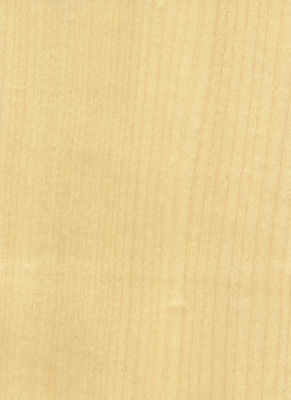 Uzaya zariflik katmak Maple Veneer Paneller Flakülent Gölgeler doku belirtileri